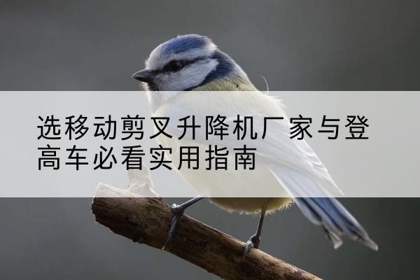 威信电动升降机厂家-选移动剪叉升降机厂家与登高车必看实用指南