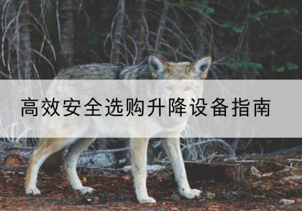 威信升降货梯厂家推荐-*安全选购升降设备指南