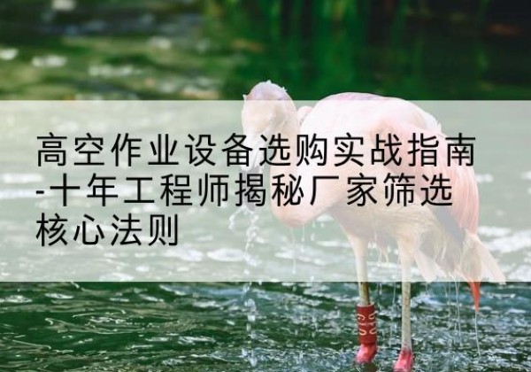 威信剪叉式升降机厂家-高空作业设备选购实战指南-十年工程师揭秘厂家筛选核心法则